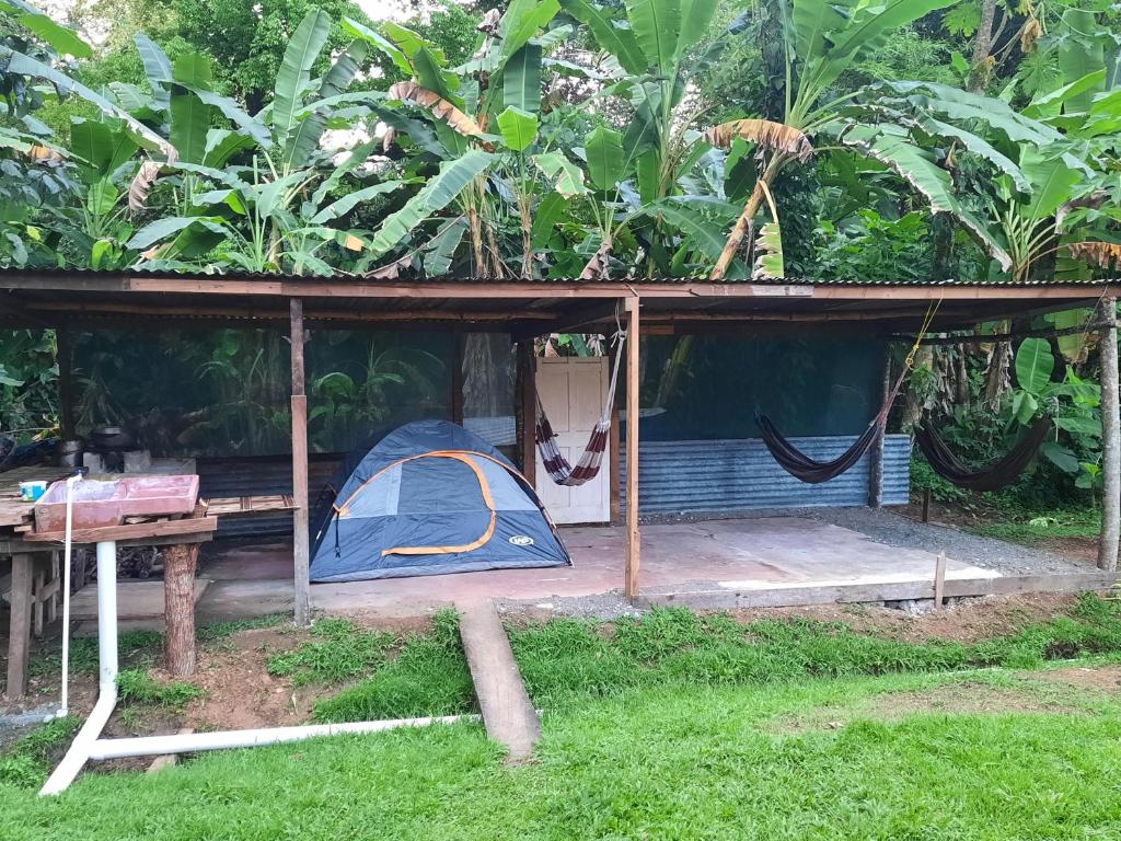un refugio con una tienda en el césped en Casa River Camping, en Tigre