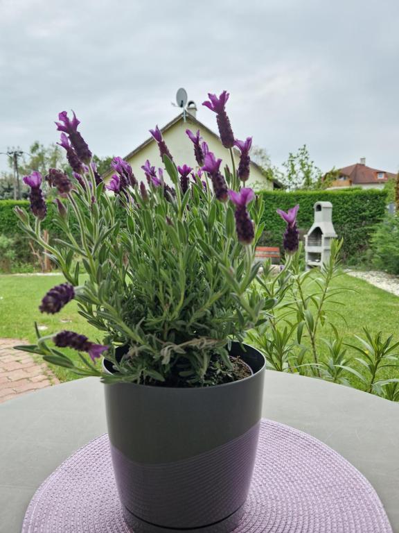 Zahrada ubytování Balaton Apartman Füred