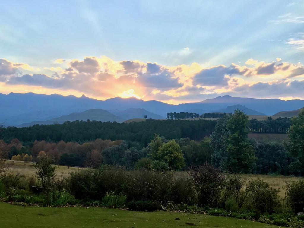 a sunset over a field with mountains in the background at Bamboo Mountain Farm in Underberg