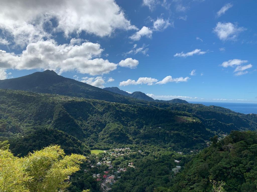 een uitzicht op een vallei met een berg bij Le Petit Paradis in Roseau