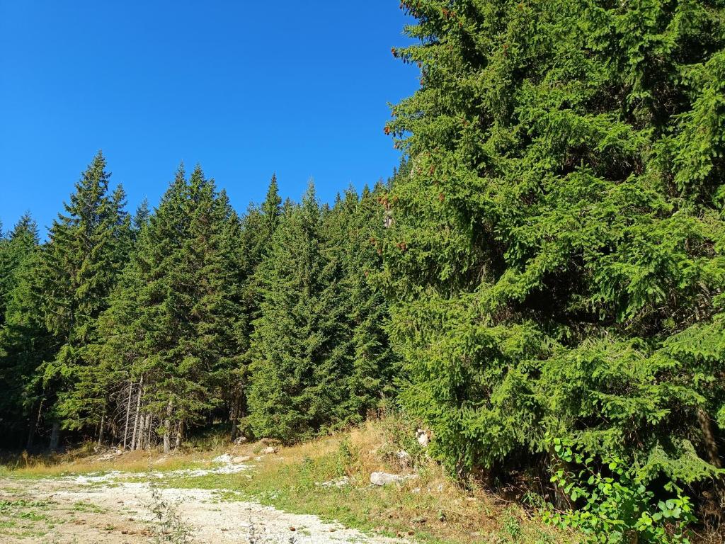 Příroda nedaleko apartmánu