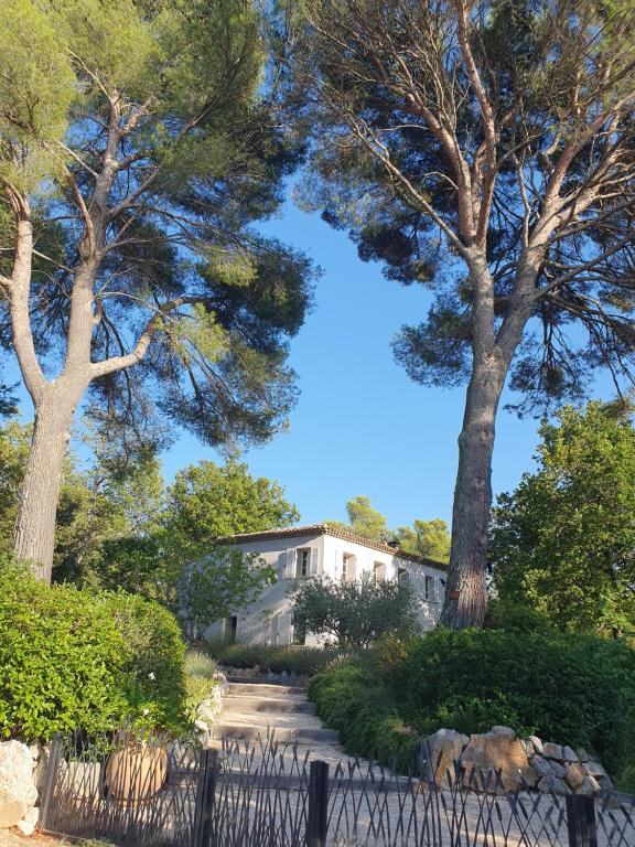 a house in the middle of two trees at Lou Pantai, Bed and breakfast, Double Bedroom in Aix-en-Provence