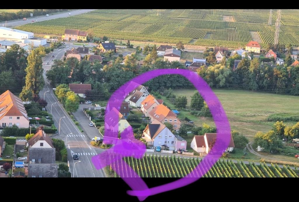 Au petit Logelbach – photo 11