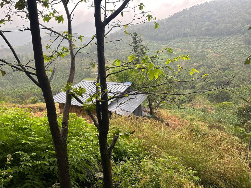 una casa al lado de una colina con un árbol en Misty hills farm stay, en Attappādi