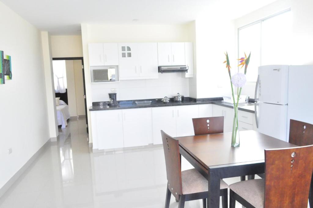 Kuchyň nebo kuchyňský kout v ubytování Valdivia Suites