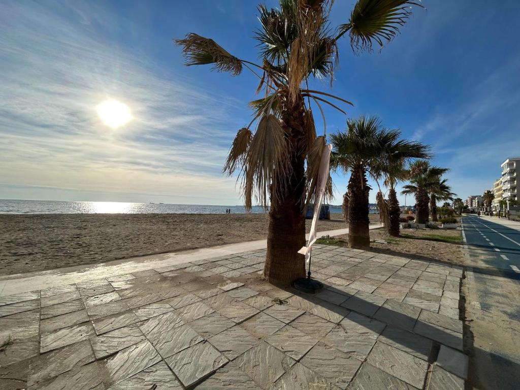een palmboom op een stoep naast het strand bij Chrigrey Holiday Apartments & Durres Beach in Durrës
