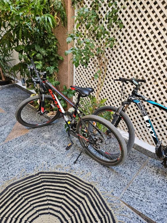Jízda na kole v ubytování Gina Motel Dahab nebo okolí