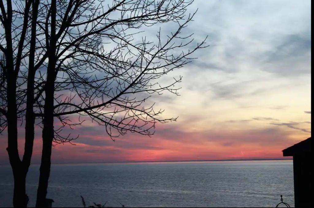 a sunset over the ocean with a tree in the foreground at Lakeshore Bliss Retreat in Wheatley