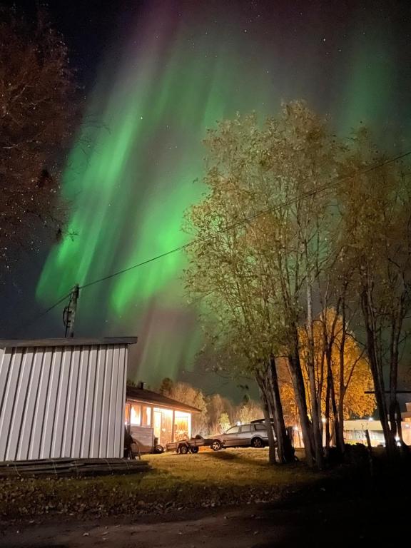 an image of the aurora dancing in the sky at Sentral og romslig leilighet nært Senja in Finnsnes