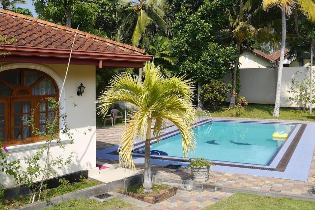 a palm tree next to a house with a swimming pool at Caro Villa in Induruwa