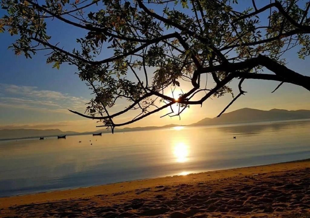 - un coucher de soleil sur la plage avec un arbre au premier plan dans l'établissement Aconchego da Barra, à Palhoça