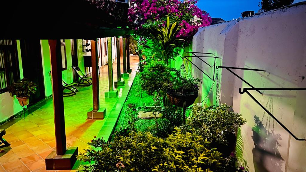 モンポスにあるHotel Villa de Mompoxの植花園