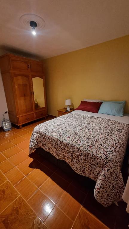 a bedroom with a bed in a room at Lili´s House in Huaraz