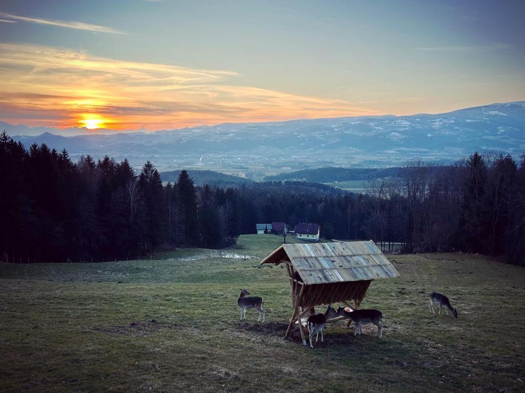 Příroda nedaleko apartmánu