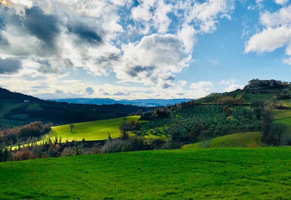un campo de hierba verde con un cielo nublado en Agriturismo Portoreschi en Saragano