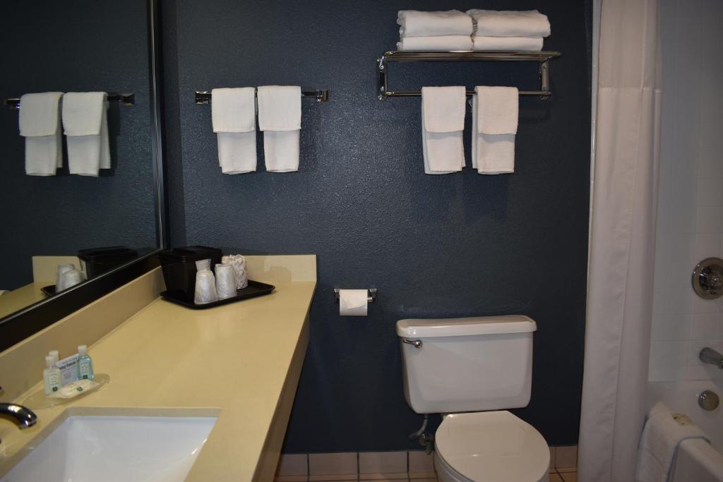 Um banheiro em Quality Inn & Suites Garden Of The Gods