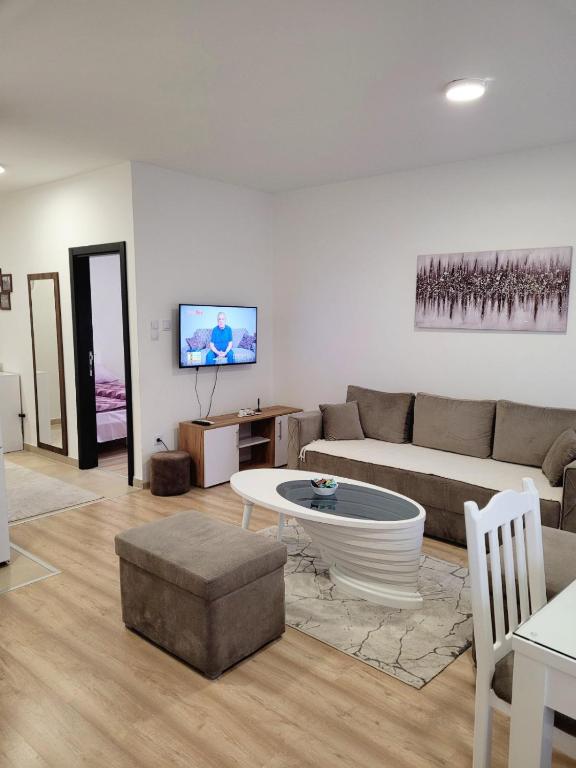 Televisyen dan/atau pusat hiburan di Apartman Lukić