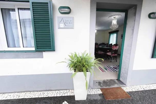 a house with a potted plant on the front door at Pico Alto in Salão