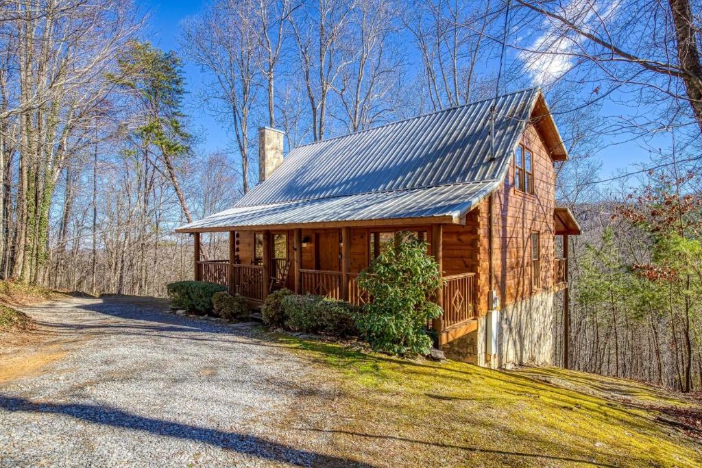 賽維爾維爾的住宿－Secluded Hideaway cabin，路边带金属屋顶的小木屋