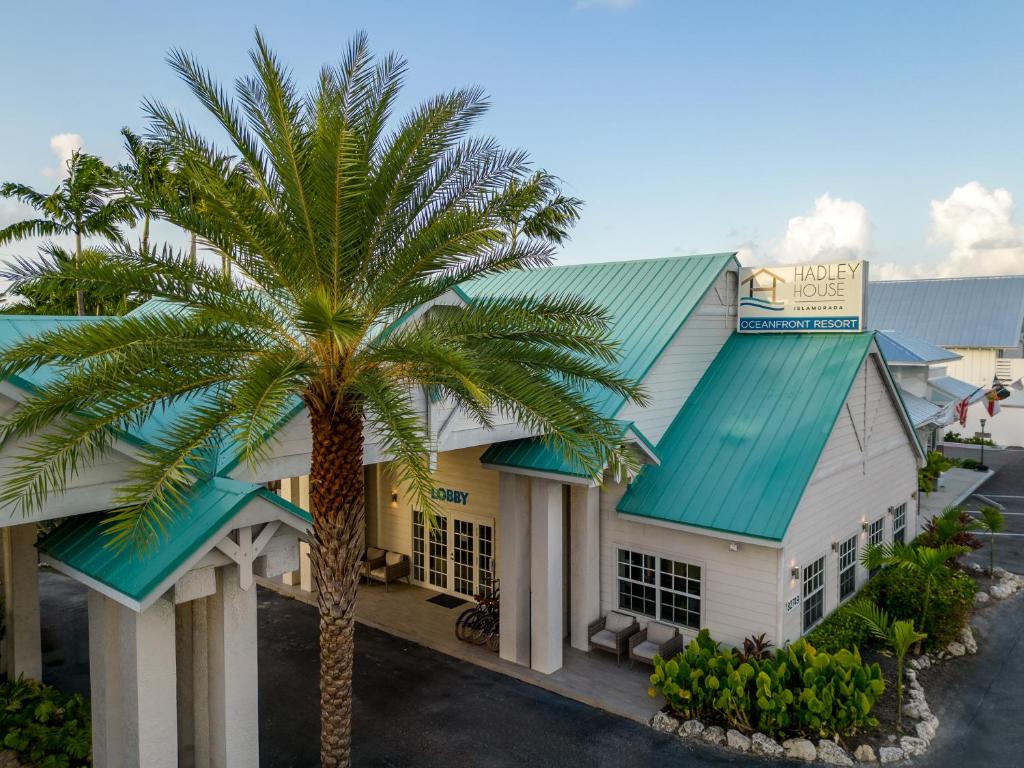 a palm tree in front of a hotel at Hadley Resort and Marina in Islamorada