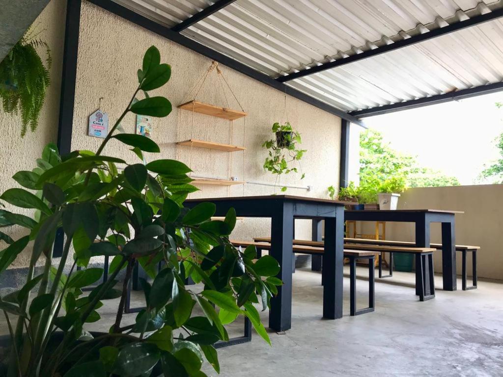 un patio con una mesa azul y bancos en Hostel FreeWay, en Brasilia