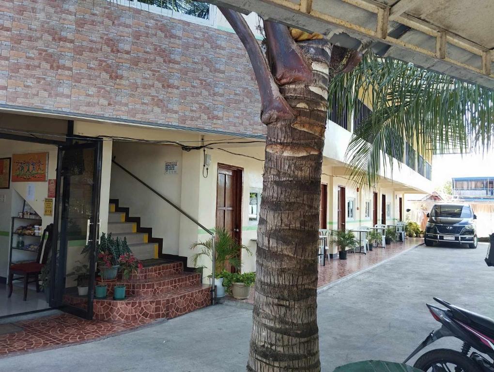 uma palmeira em frente a um edifício com estacionamento em jazmine hotel em San José