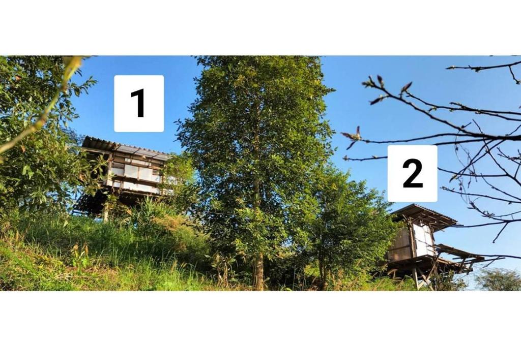 zwei Bilder von einem Baum und einem Haus mit zwei Nummern in der Unterkunft The buh de (เดอะบูห์เดอะ) 