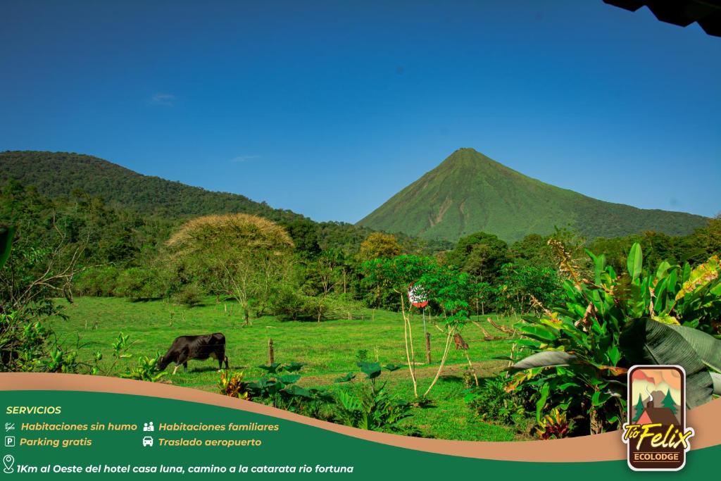 a picture of a field with a mountain in the background at Tío Felix Eco Lodge in Fortuna