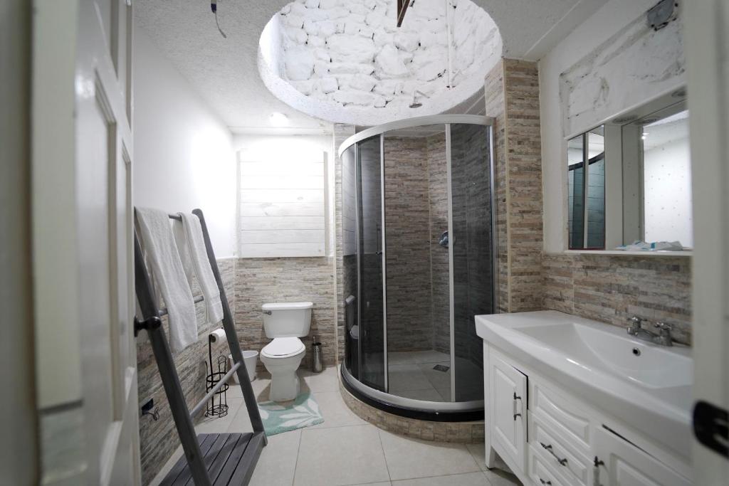 uma casa de banho com um chuveiro, um WC e um lavatório. em Les Residences Etang Du Jonc em Pétionville