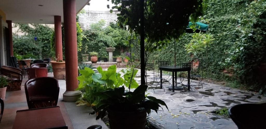 d'une terrasse avec des plantes, une table et un jardin. dans l'établissement Hotel Art Gallery Casona de los Milagros, à Colima