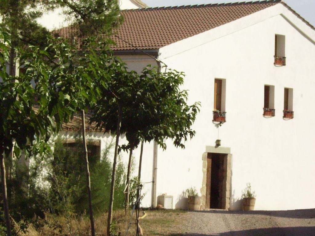 ein weißes Haus mit einem Baum davor in der Unterkunft Luxurious Cottage in Sant Salvador de Guardiola in Guardiola