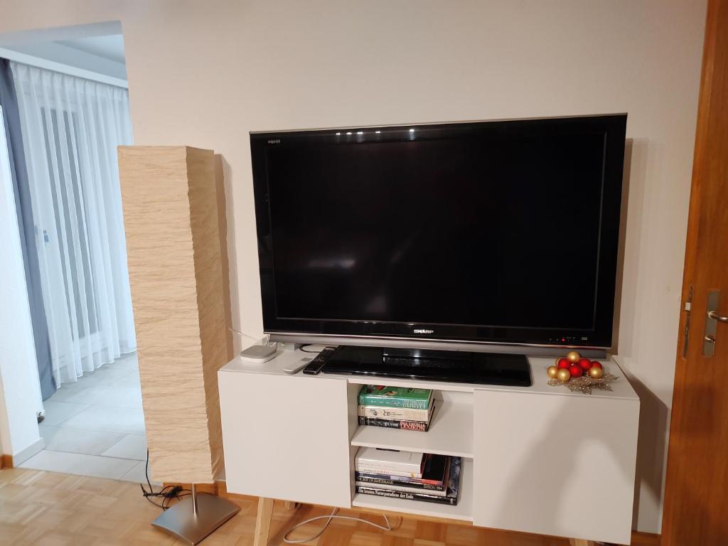 TV a/nebo společenská místnost v ubytování Panorama