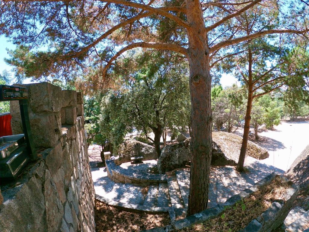 Zahrada ubytování Cabañas Rústicas dentro de la Finca El Castillo
