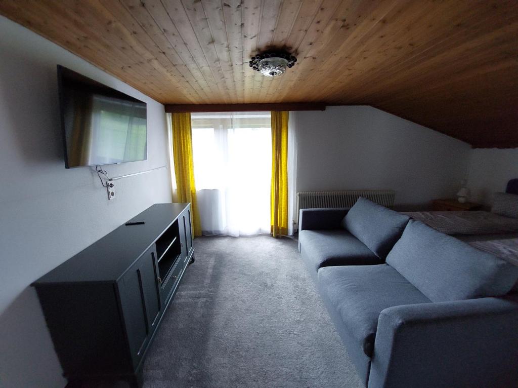 ein Wohnzimmer mit einem Sofa und einem TV in der Unterkunft Haus am Lärchenhang, Fewo5 in Leutasch