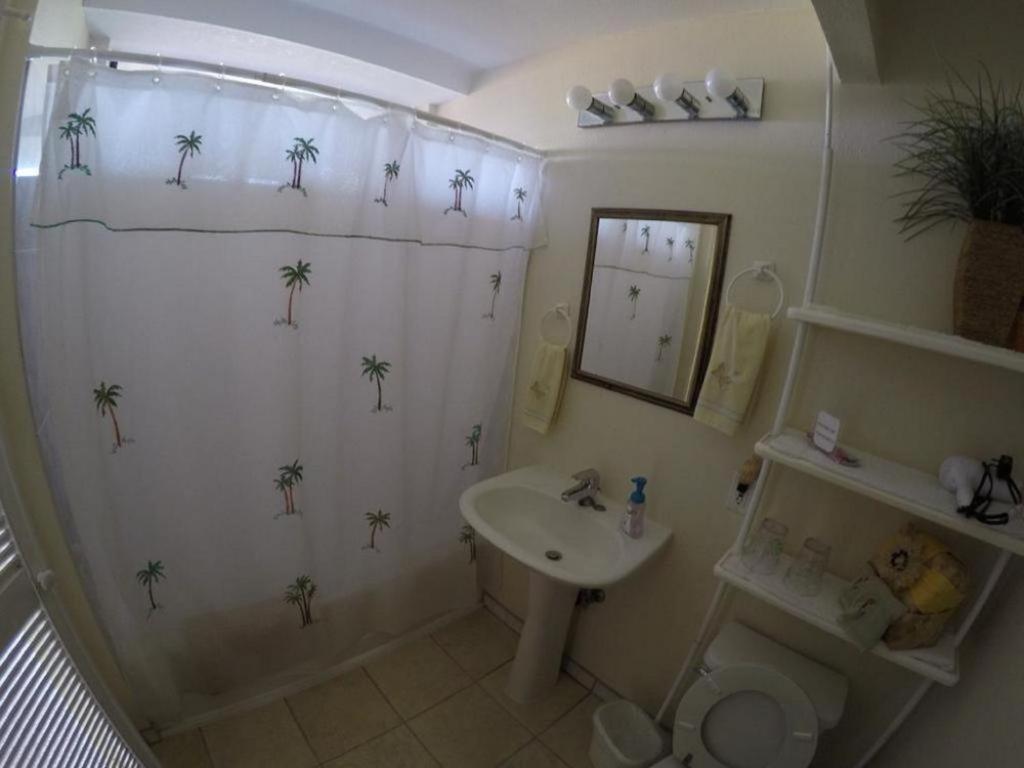 a bathroom with a shower and a sink and a toilet at Hale-Hoola B & B in Captain Cook