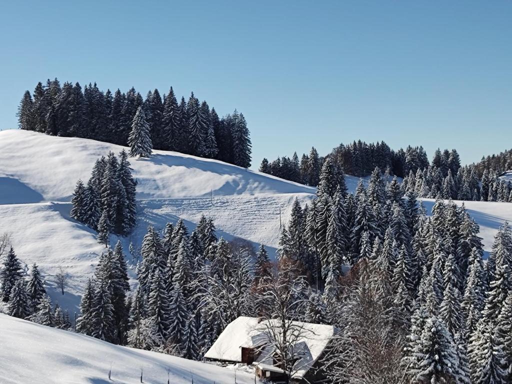 Panorama v zimě