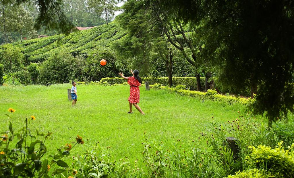 Hosté ubytování Hotel C7 Munnar