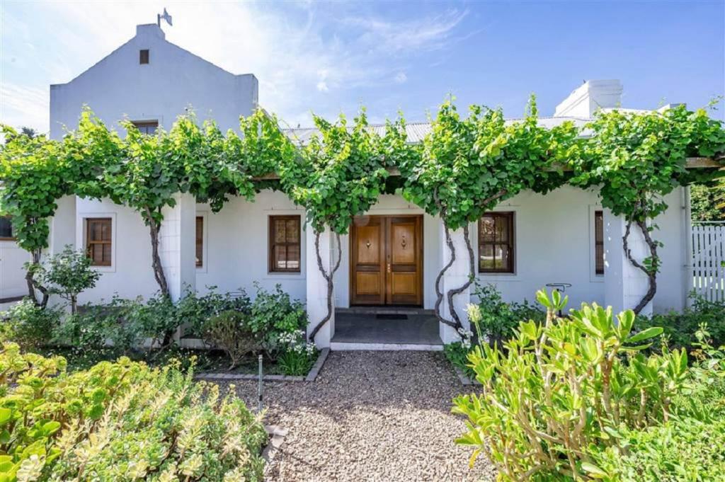 Une maison blanche avec un tas de vignes dans l'établissement d'Vine Maison, à Franschhoek