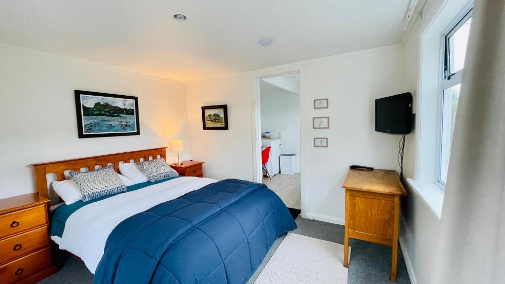 1 dormitorio con 1 cama azul y TV en Little Home on Glanmire, en Wellington