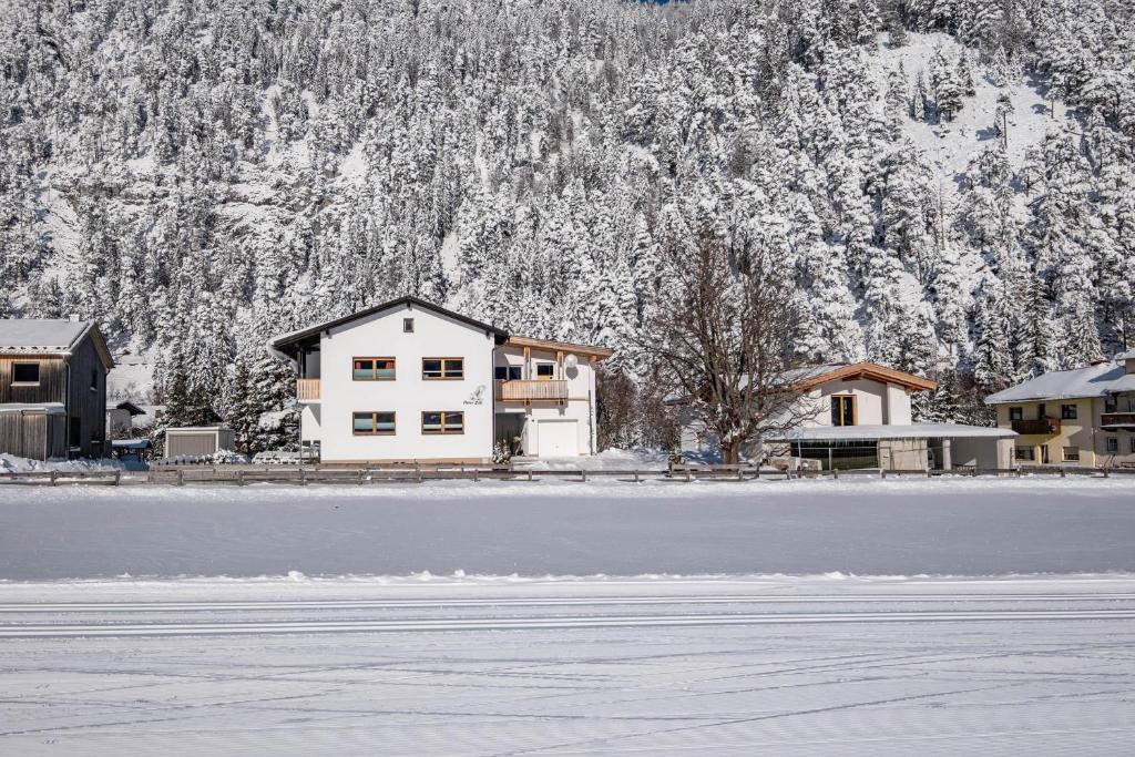 Haus Zak durante l'inverno