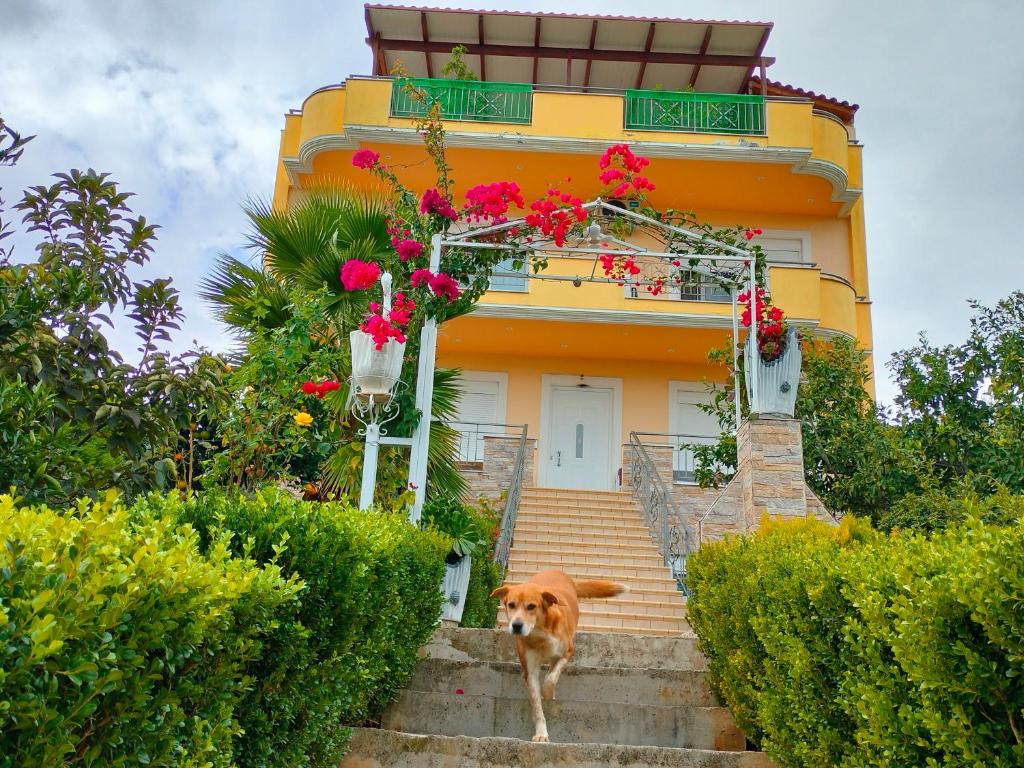 un perro parado en las escaleras frente a una casa en House with Wonderful View, en Lefkandi Chalkidas