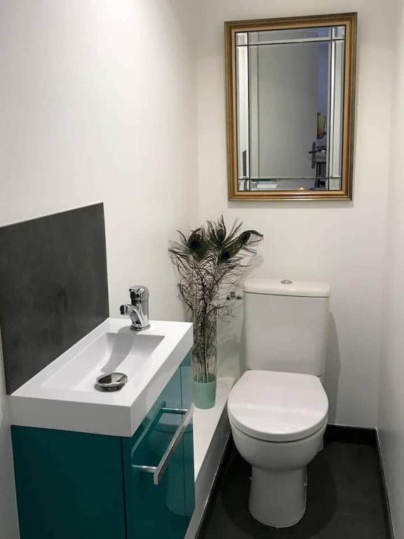 a bathroom with a toilet and a sink and a mirror at Morvan La Pastourelle in Quarré-les-Tombes