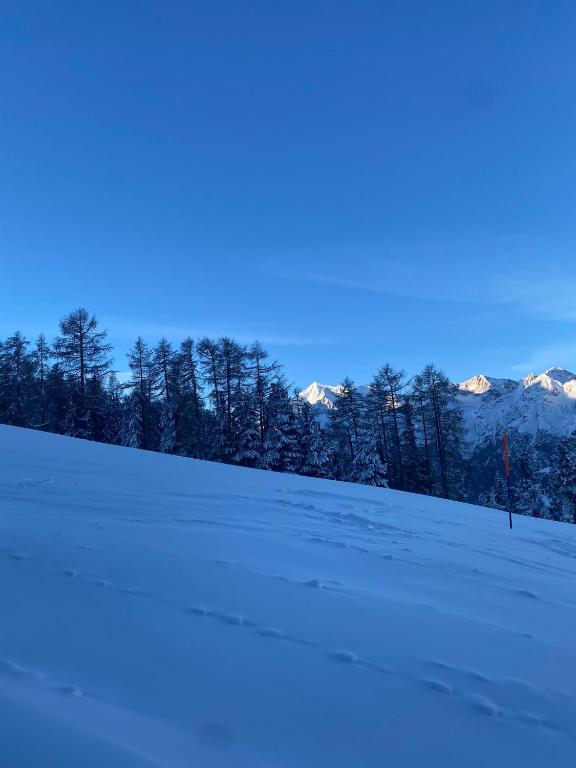 a snow covered field with trees and mountains in the background at Gaby in Grächen
