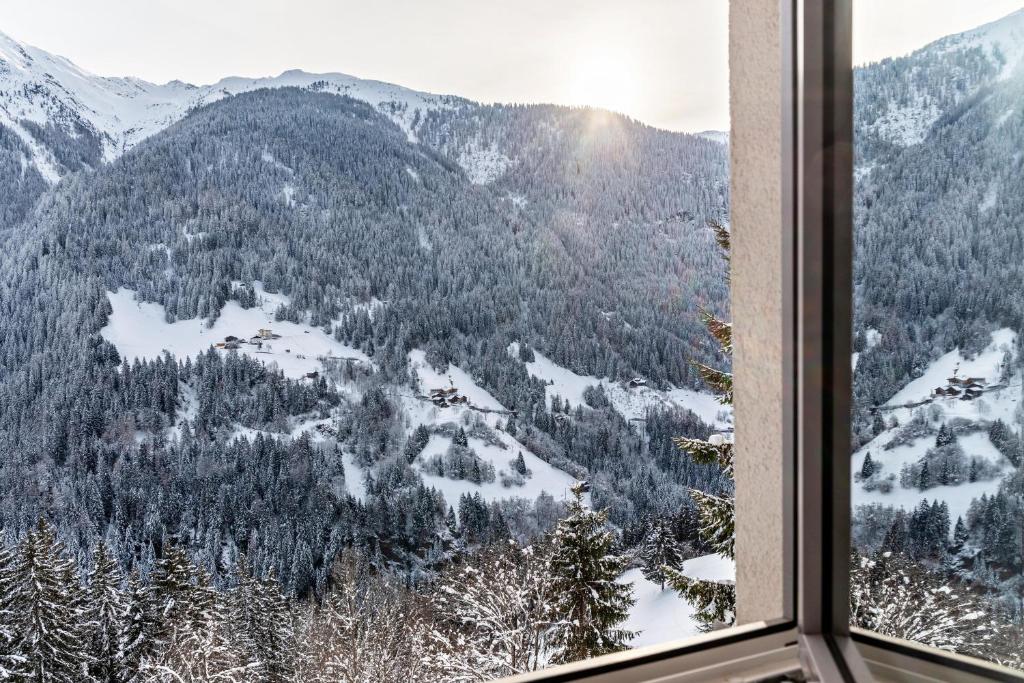 Příroda nedaleko apartmánu