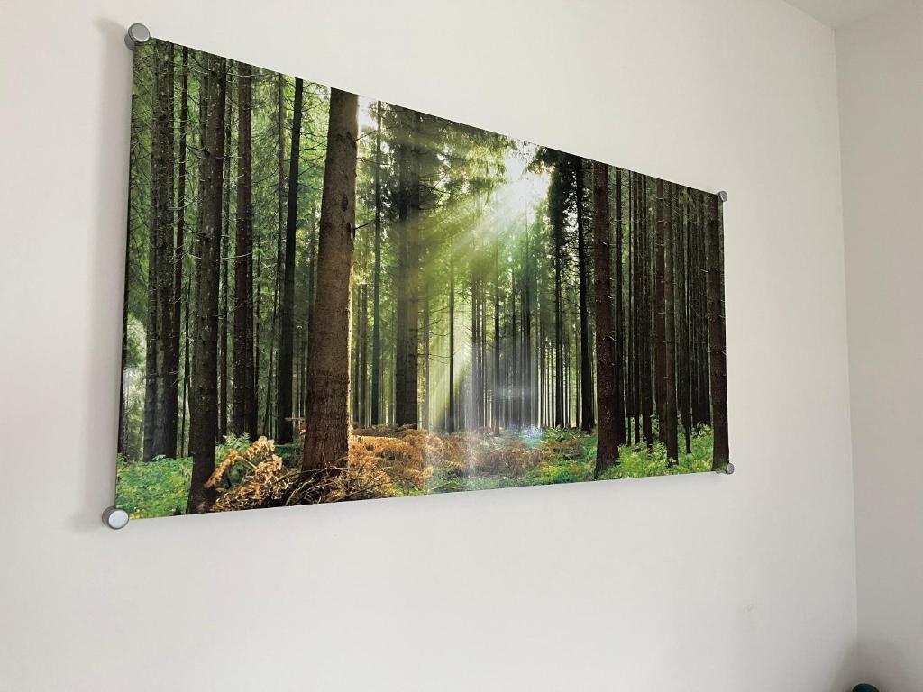 Fotografie z fotogalerie ubytování Gemütliches Eifeler Gästehäuschen v destinaci Nettersheim