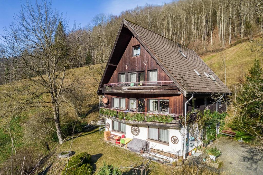 an aerial view of a house on a hill at Ferienwohnung Frechehof 74qm in Bad Peterstal