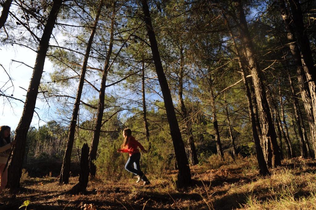 Hosté ubytování Foresta in Medias Mores