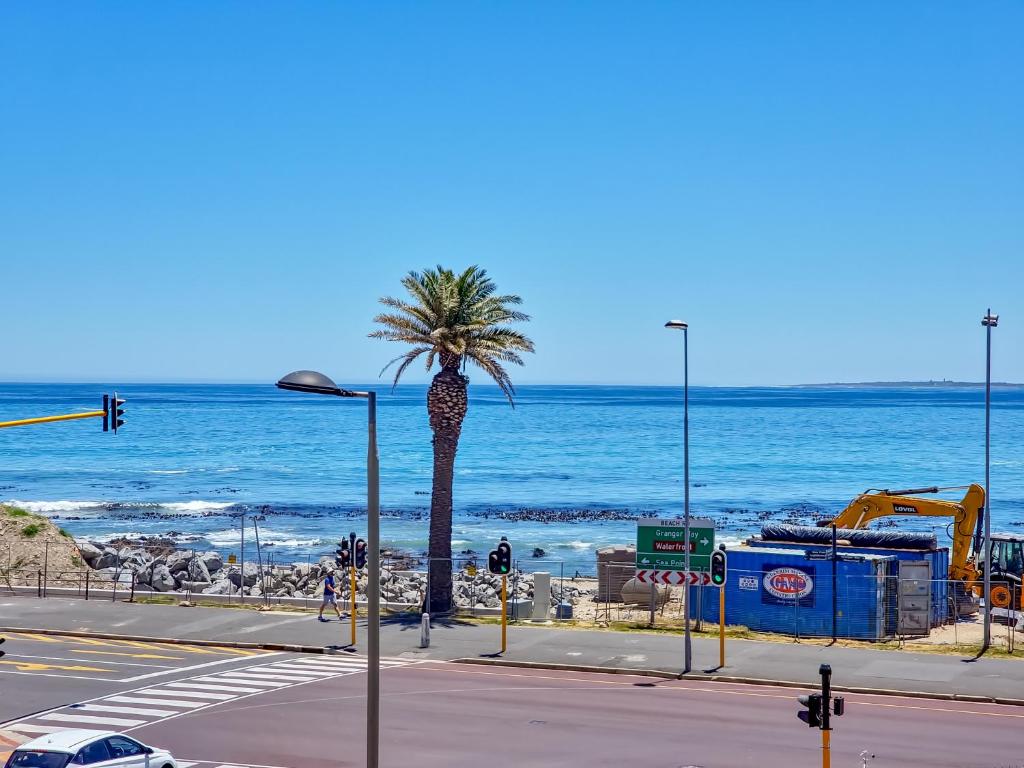 a palm tree on the side of a beach at Studio with ocean and promenade view Sea point in Cape Town