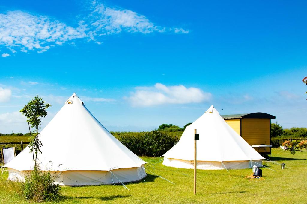 dos tiendas blancas sentadas en el césped en un campo en Hunstanton Glamping, en Heacham