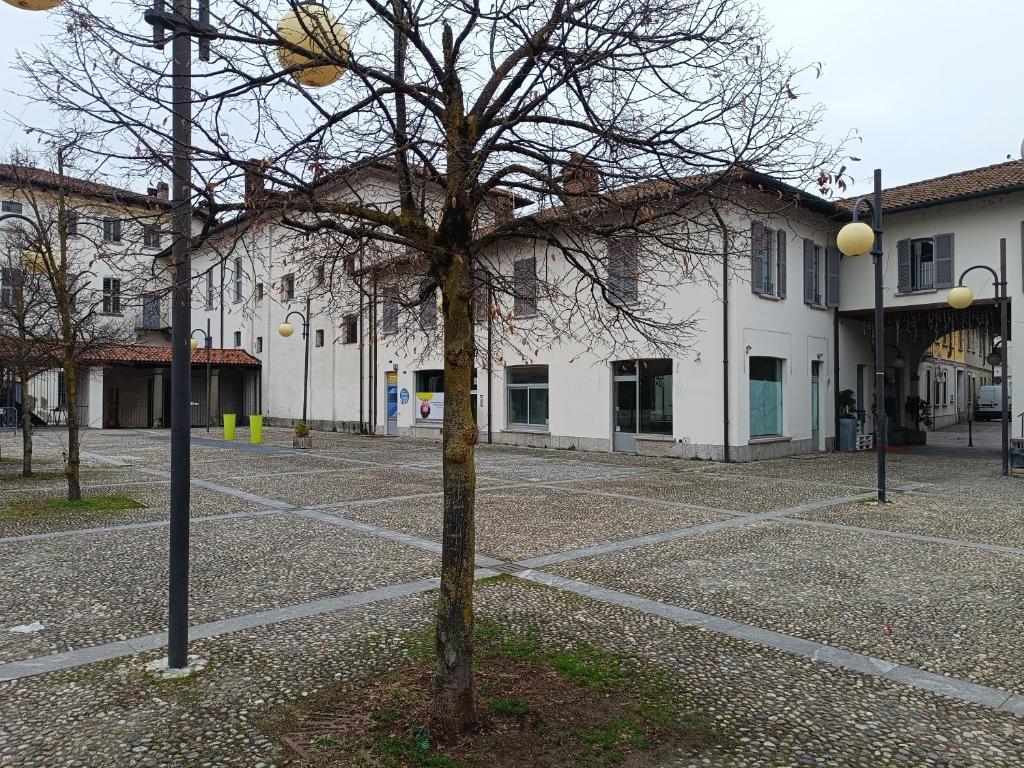 un árbol en medio de un estacionamiento en Residence Borromeo en Cesano Maderno